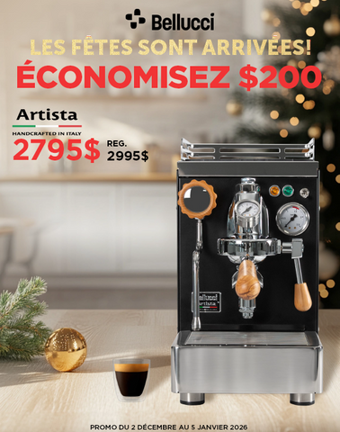 BELLUCCI ARTISTA NERO